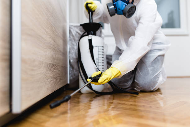 Best Cockroach Control Services  in Fall Creek, WI