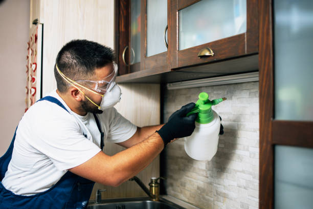 Best Bed Bug Extermination  in Fall Creek, WI
