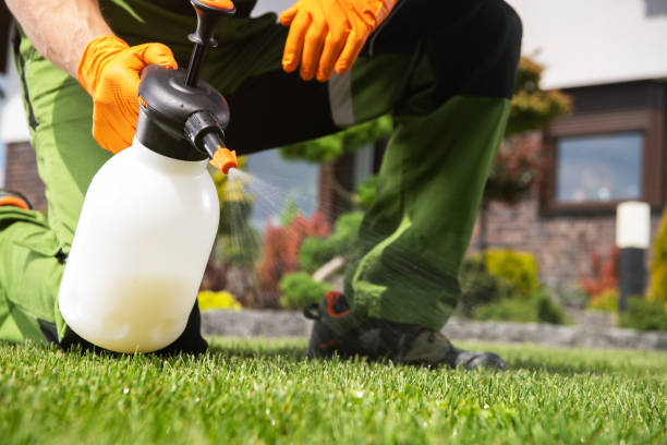 Flea Control Services in Fall Creek, WI