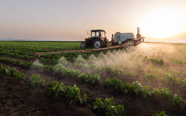 Best Mosquito Control Services  in Fall Creek, WI