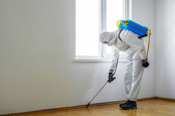 Best Pest Removal Services  in Fall Creek, WI