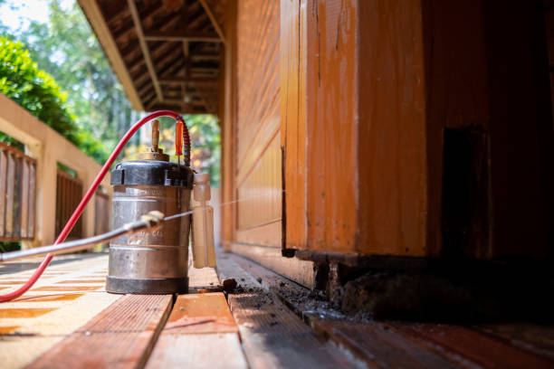 Wasp Removal Services in Fall Creek, WI