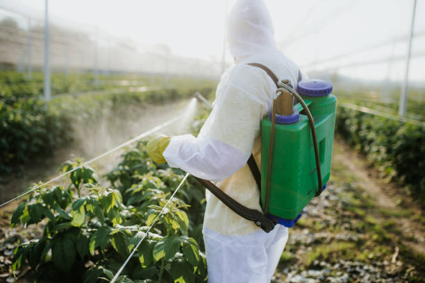 Best Best Pest Control Companies  in Fall Creek, WI